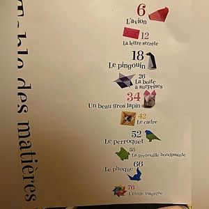 Livre Origami pour débutants version française